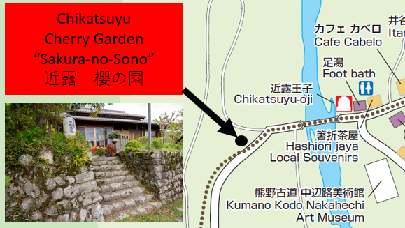 Chikatsuyu Cherry Garden “Sakura-no-Sono” 